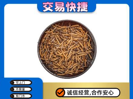 滁州回收散虫草